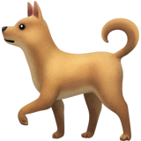pet_friendly
