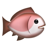 saumon